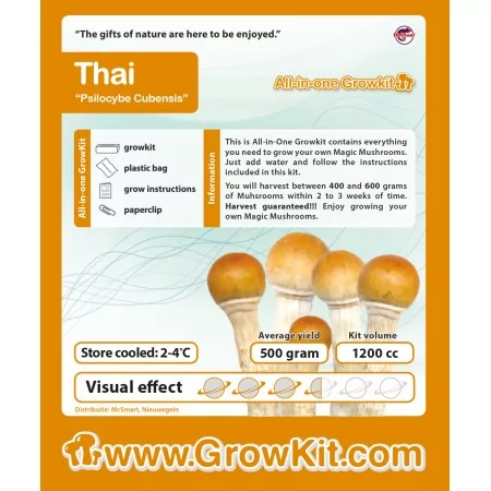 Thailändsk Growkit (Psilocybe Cubensis)