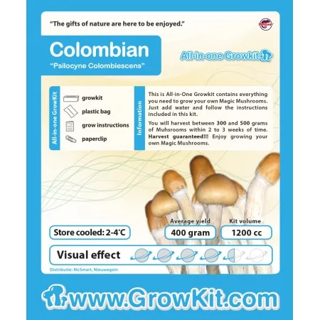 Kit de culture colombien (Psilocybe Cubensis)