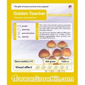 Golden Teacher growkit kaina 169 PLN - growkit parduotuvė