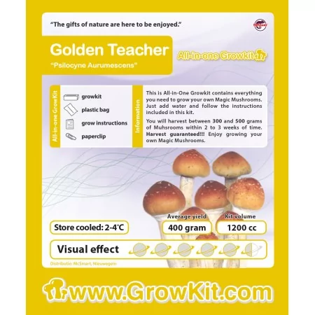 Golden Teacher growkit cena 169 PLN - growkit veikals