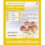 Golden Teacher growkit prix 169 PLN - growkit shop