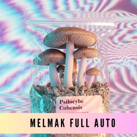 Melmak Full Auto growbag - XXL - 3500 cc -  pełny automat bezobsługowy|GoldenTeacher|Growkity