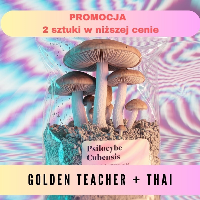 Growkit Golden Teacher + Thai|GoldenTeacher|Growkity